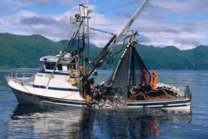 SE Alaska Salmon Purse Seining Boat Photo