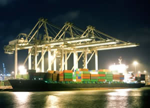 Container Ship Unloading in Harbor