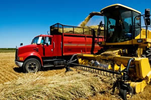 Farm Combine Loading Grain into Truck Photo