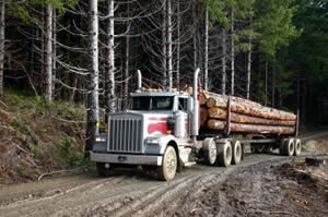 Logging Truck Hauling Logs Photo