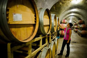 Winery Worker Checking on Wine Barrels Photo